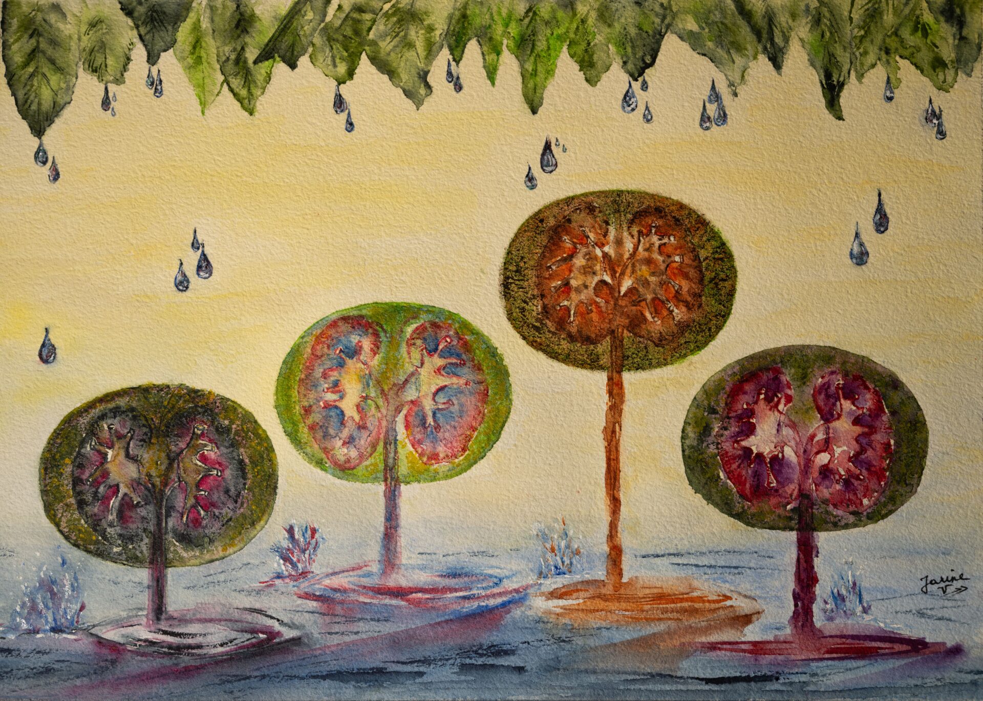 Kidney Trees