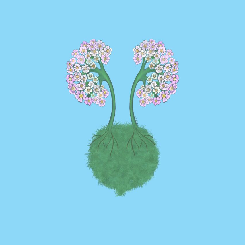 The Greening of Nephrology