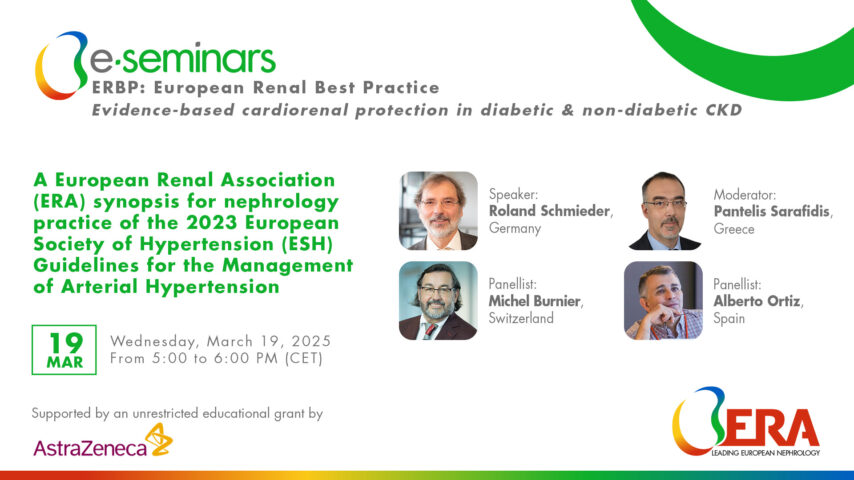 A ERA synopsis for nephrology practice of the 2023 ESH Guidelines for the Management of Arterial Hypertension