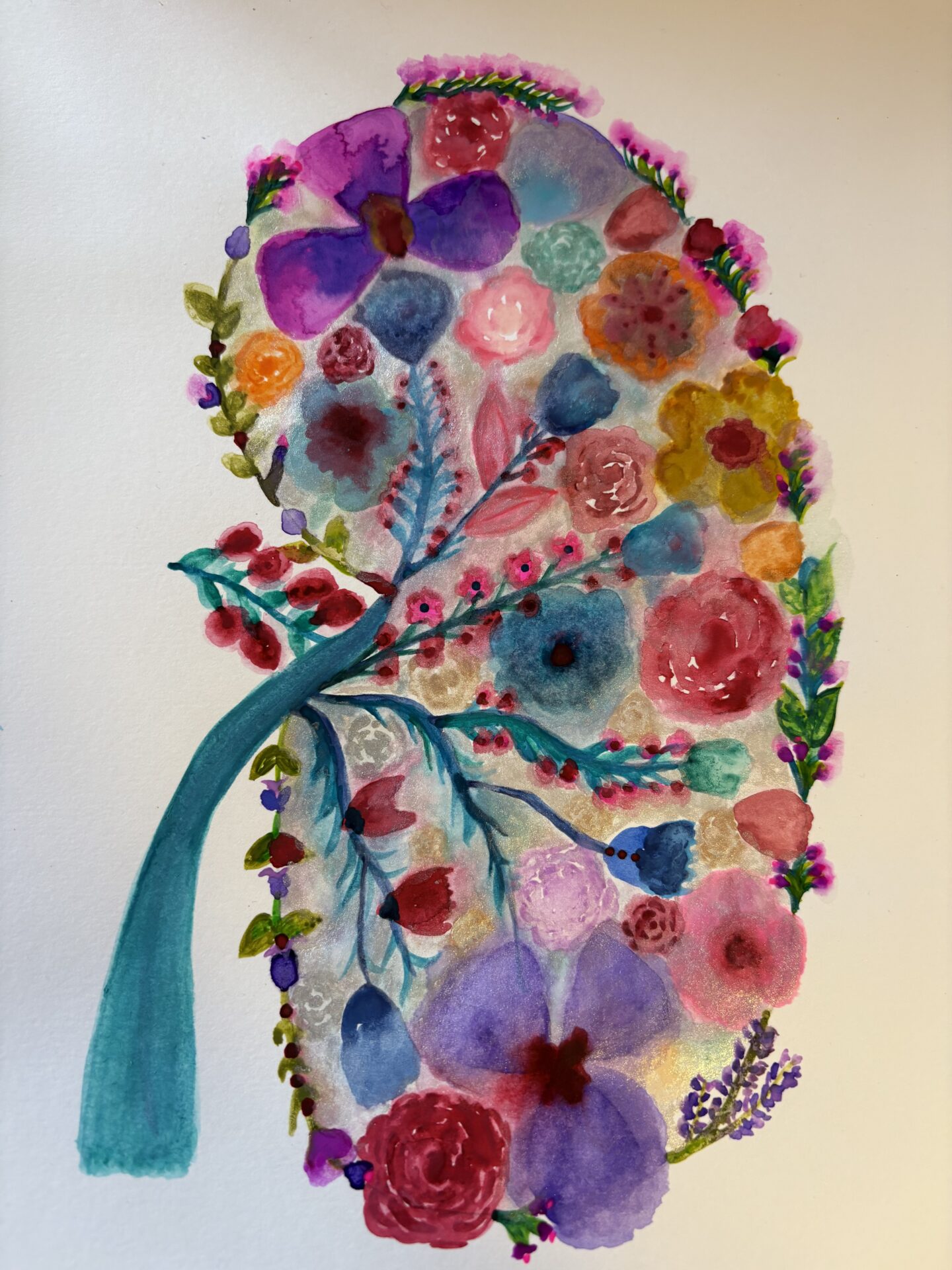 Kidney Watercolor