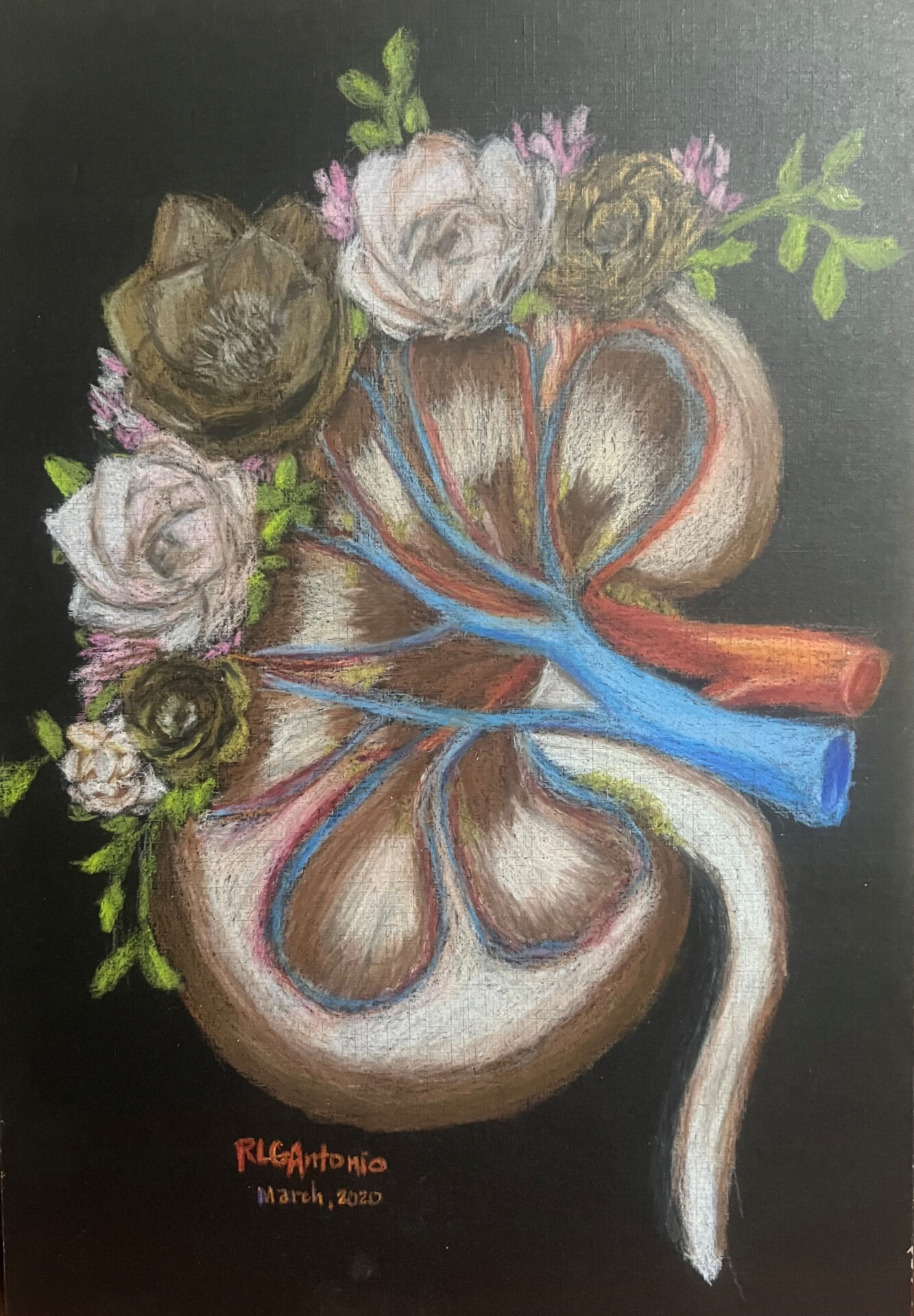 Flowers and Kidney