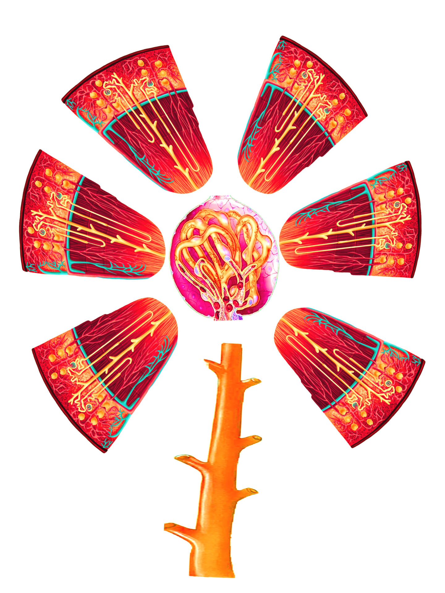 Chaitali Umesh Hambire, India