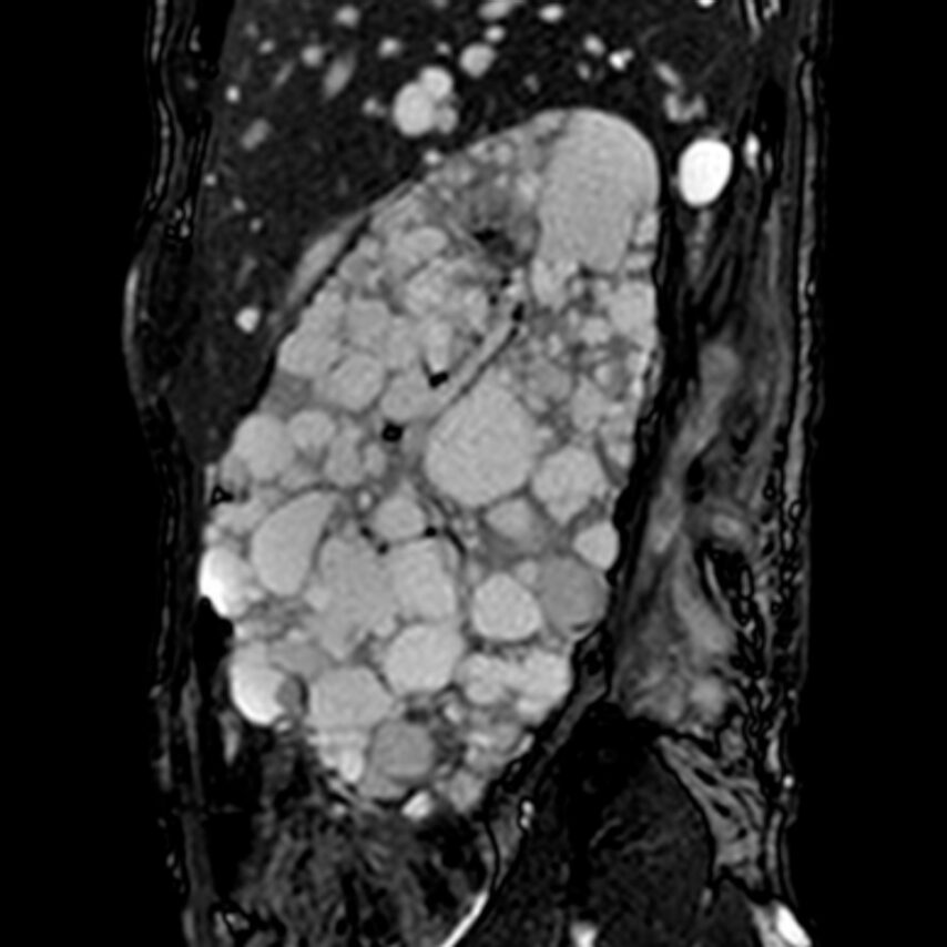 Maria Teresa Sciarrone Alibrandi, Pierpaolo Bianca, Rodolfo Fernando Rivera, Italy