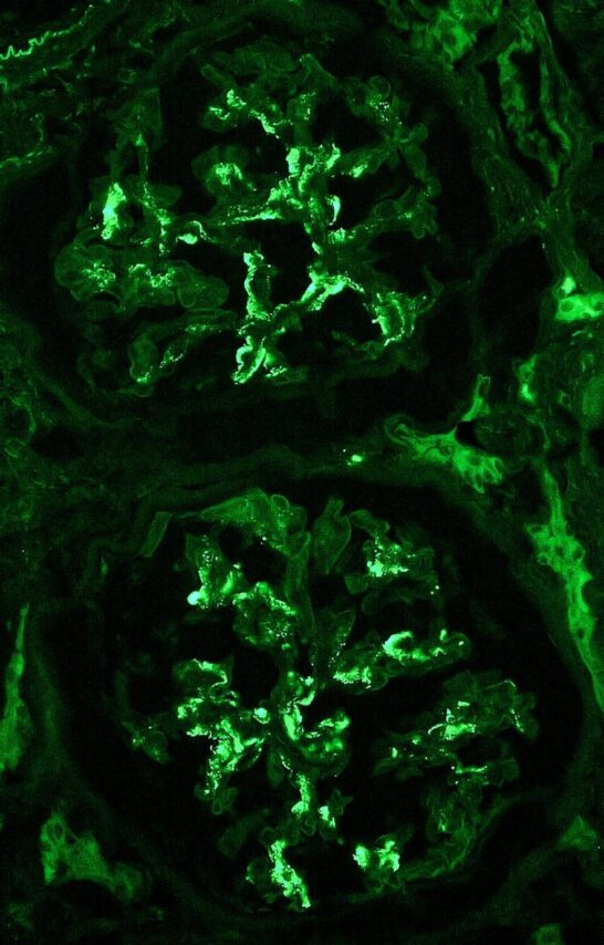 Ziad M. El-Zaatari, USA